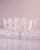 jogo jarra 1,4 litros com 6 taças 226ml starry em vidro