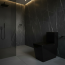 ambiente com vaso sanitario monobloco preto fosco