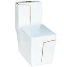 vaso sanitário monobloco