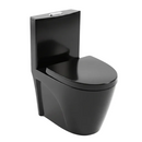 vaso sanitário monobloco preto fosco e interior do vaso branco
