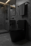 vaso sanitário monobloco black
