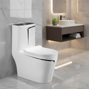 vaso sanitário monobloco branco com detalhe preto