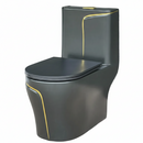vaso sanitário monobloco preto fosco em fundo branco