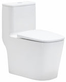 vaso sanitário monobloco