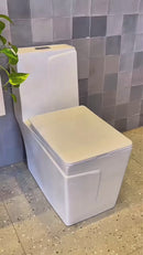 vaso sanitário monobloco com caixa acoplada