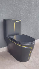 vaso sanitário monobloco black matte com filete dourado