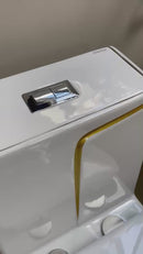 vaso sanitário monobloco branco com detalhe dourado