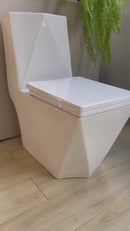 vaso sanitário monobloco diamante