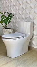 vaso sanitário monobloco