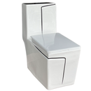 vaso sanitário monobloco