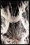 kit quadro com vidro e moldura (2pcs) - 100x150 cm