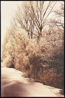 kit quadro com moldura (2 pcs) - canvas - 100x150 cm