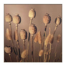 quadro com vidro e moldura - 90x90 cm