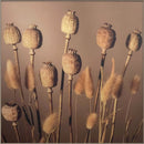 quadro com vidro e moldura - 90x90 cm