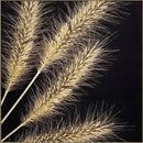 quadro com vidro e moldura - 90x90 cm