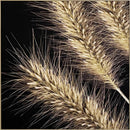 quadro com vidro e moldura - 90x90 cm