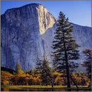 quadro com vidro e moldura - 90x90 cm