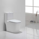 vaso sanitário monobloco