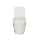 vaso sanitário monobloco