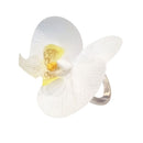 porta guardanapo 6 peças